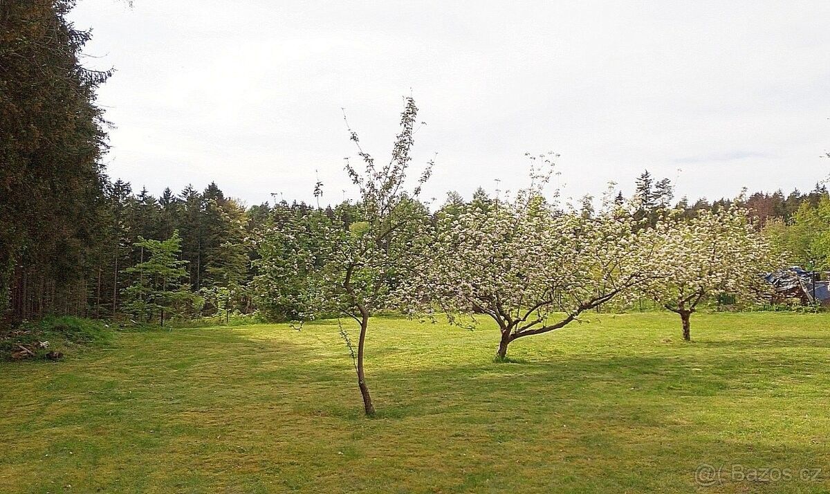 Prodej zahrada - Červený Kostelec, 549 41, 1 500 m²