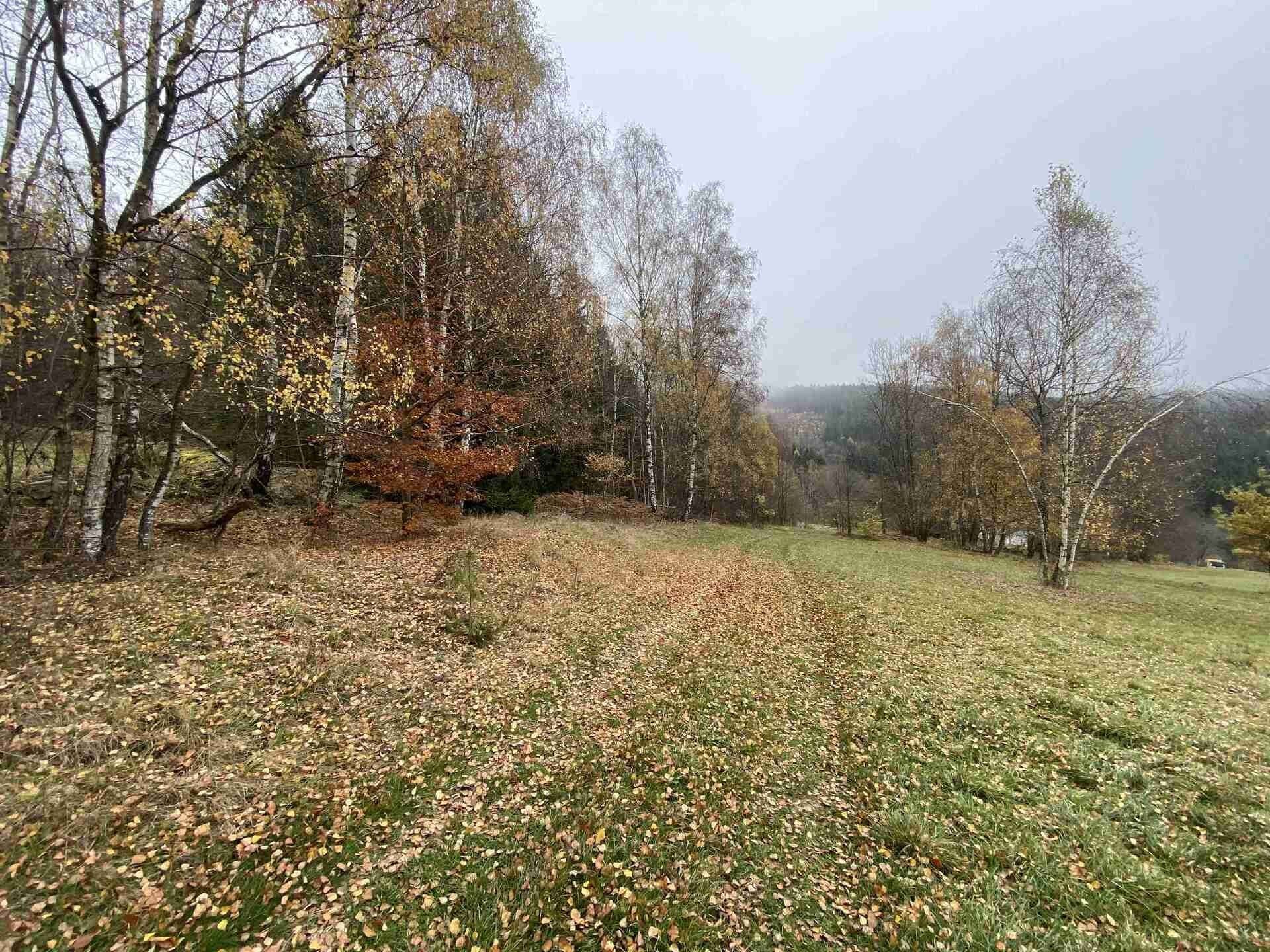 Prodej zemědělský pozemek - Chvalšiny, 1 m²