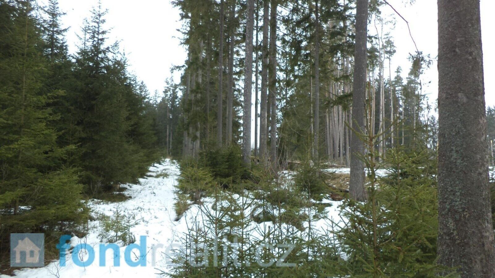 Ostatní, Blato, Nová Bystřice, 19 m²