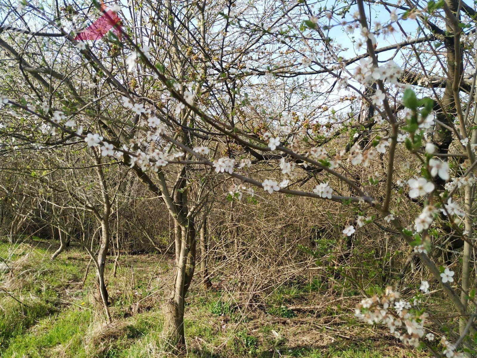 Pozemky pro bydlení, Hasina, Rožďalovice