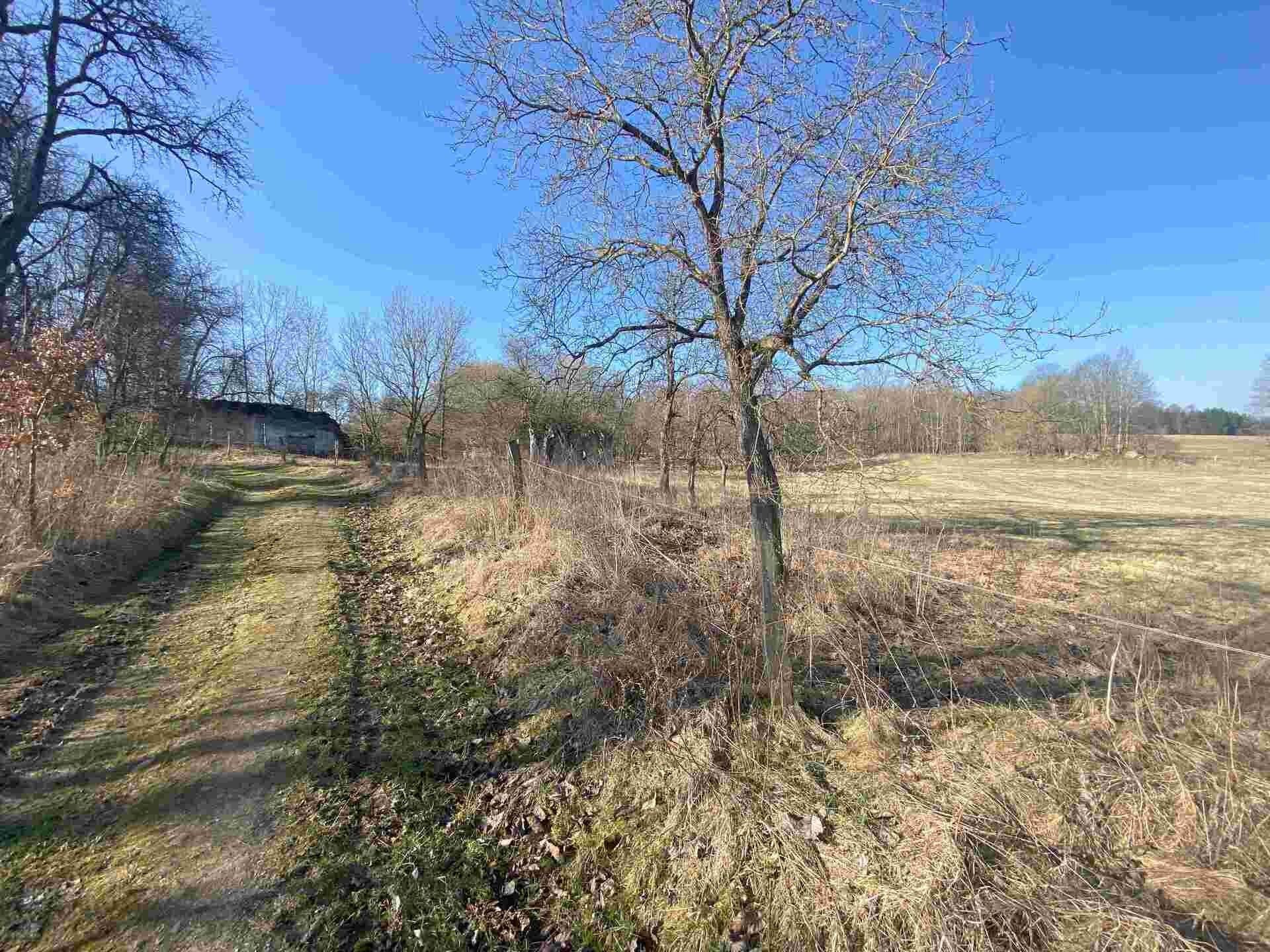 Pozemky pro bydlení, Všeměřice, Dolní Dvořiště, 11 m²