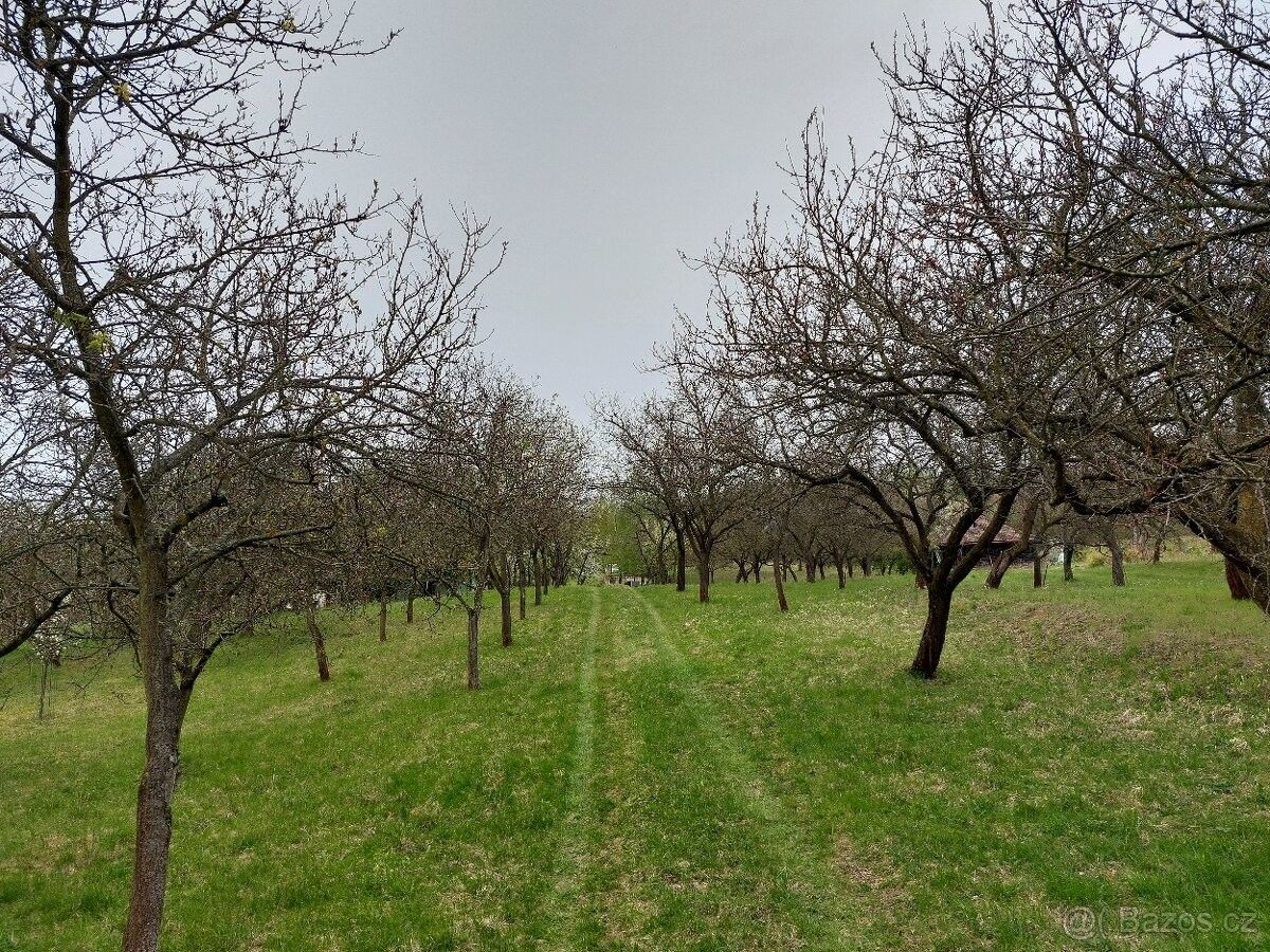 Prodej pozemek pro bydlení - Blučina, 664 56