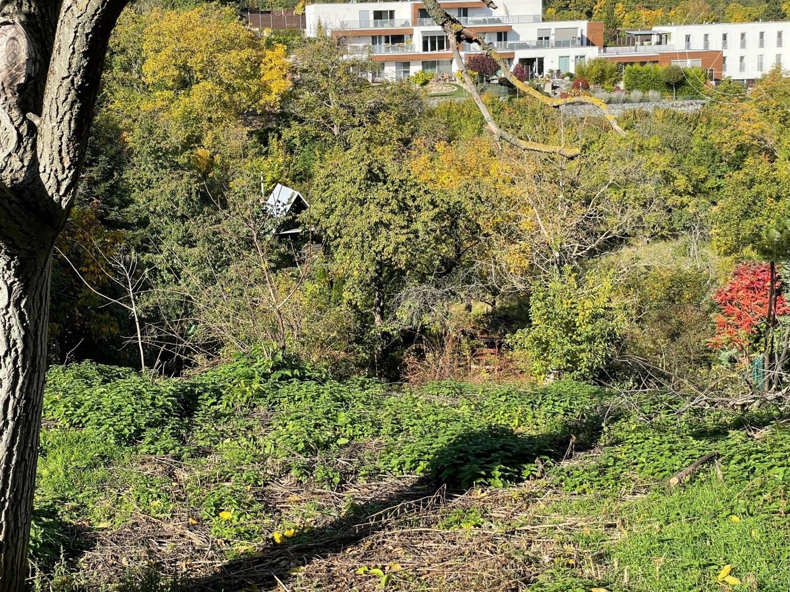 Prodej pozemek pro bydlení - Brno