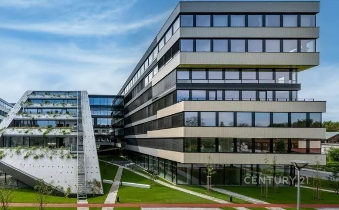 Kanceláře, Smrčkova, Praha, 250 m²