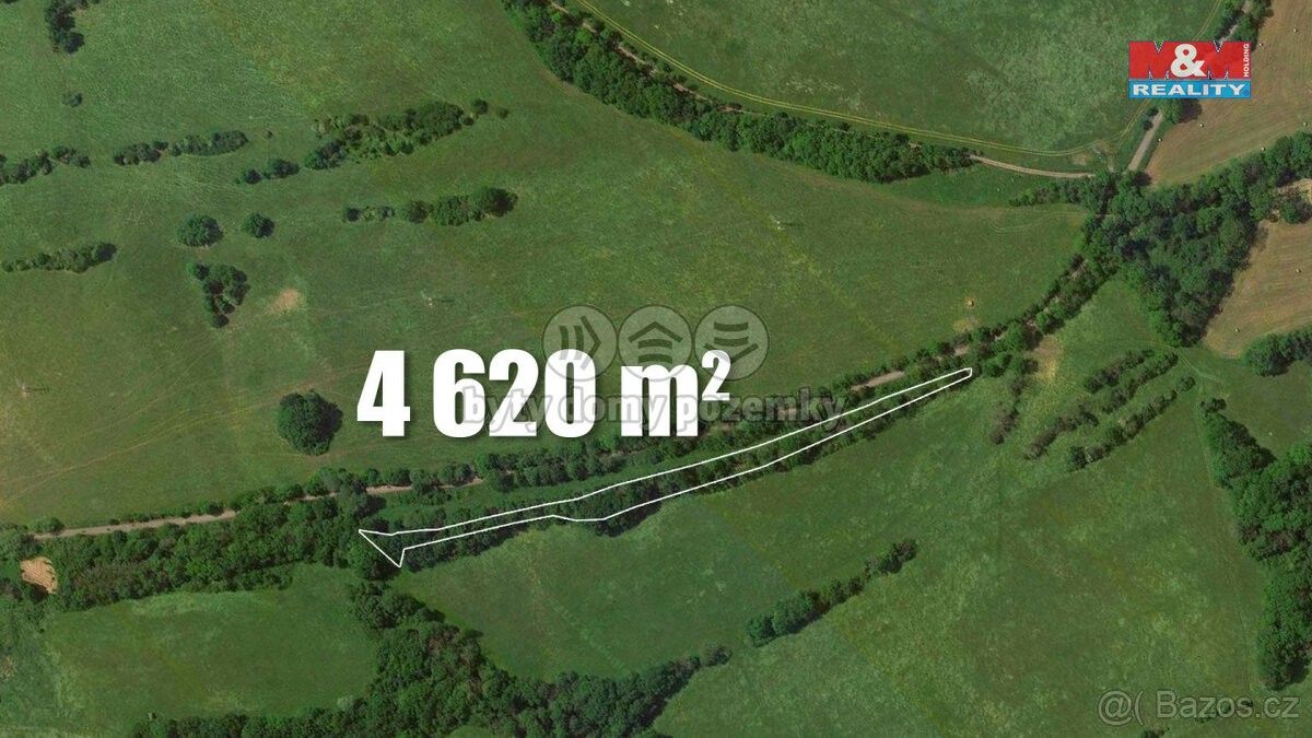 Lesy, Česká Lípa, 470 01, 4 656 m²