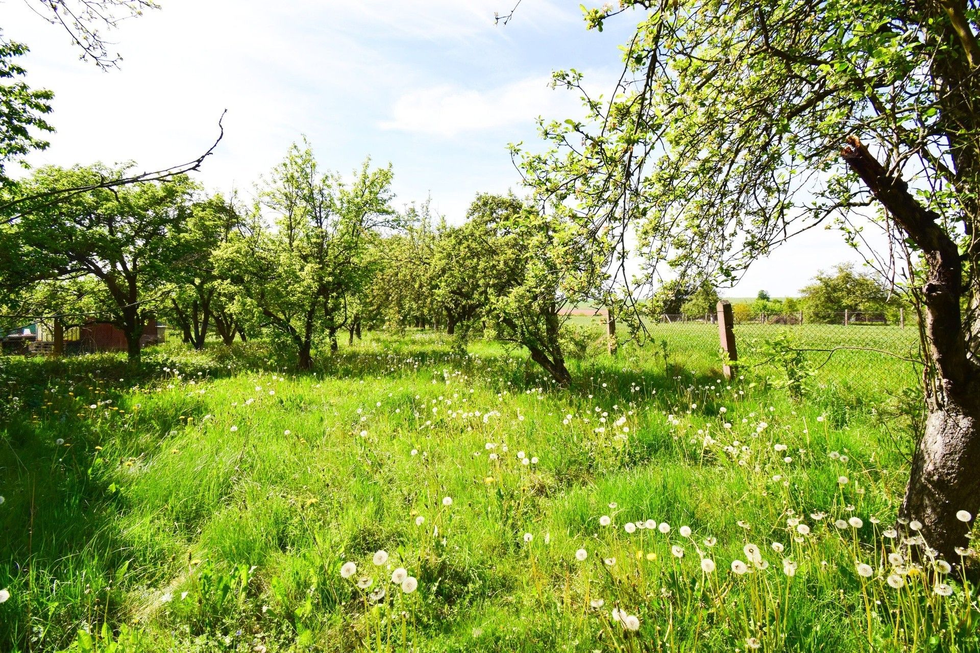 Prodej pozemek pro bydlení - Nádražní, Ronov nad Doubravou