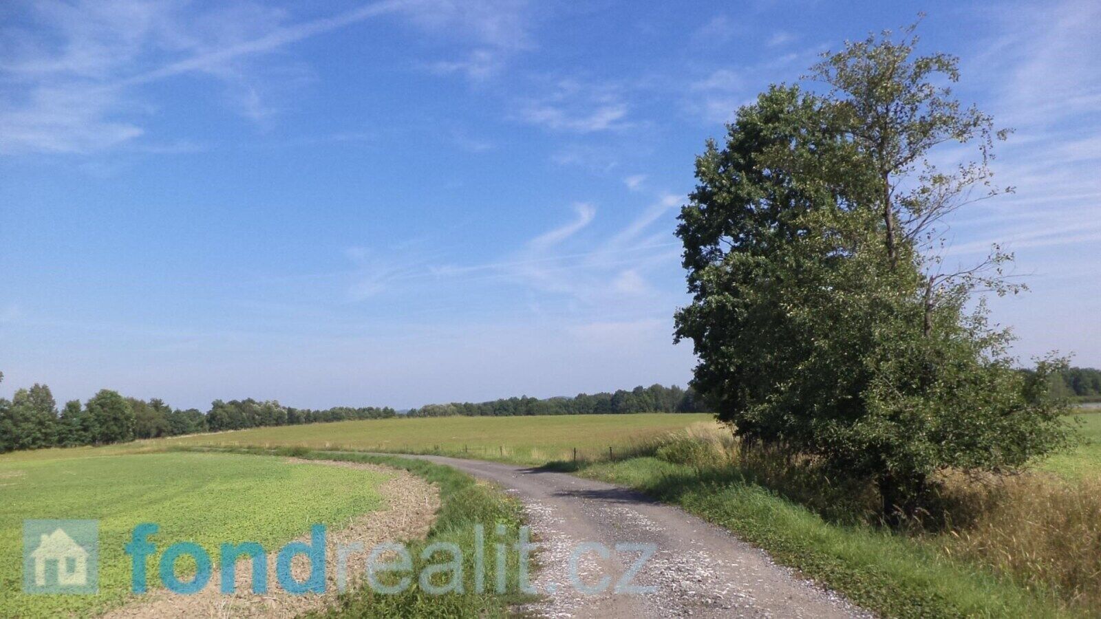 Ostatní, Mladějovice, Čejetice, 3 m²