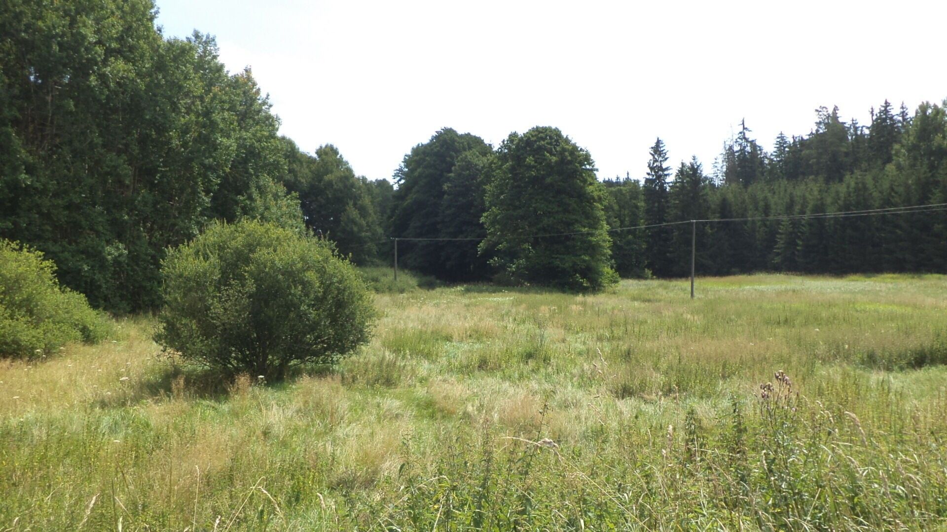 Ostatní, Nahý Újezdec, Chodský Újezd, 13 m²