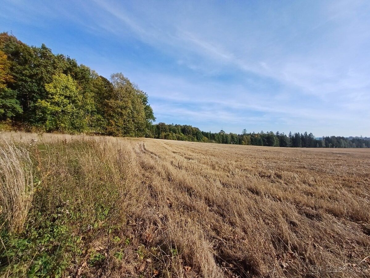 Prodej zemědělský pozemek - Humpolec, 396 01, 500 m²