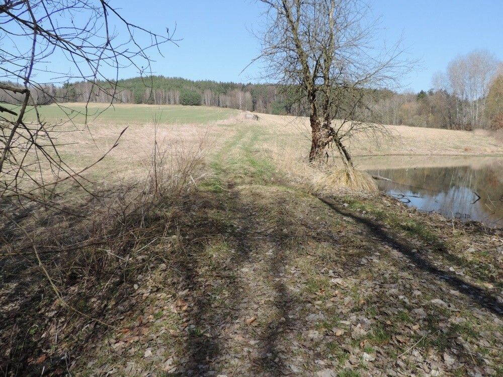 Prodej zemědělský pozemek - Hamr u České Lípy, 471 28, 5 056 m²