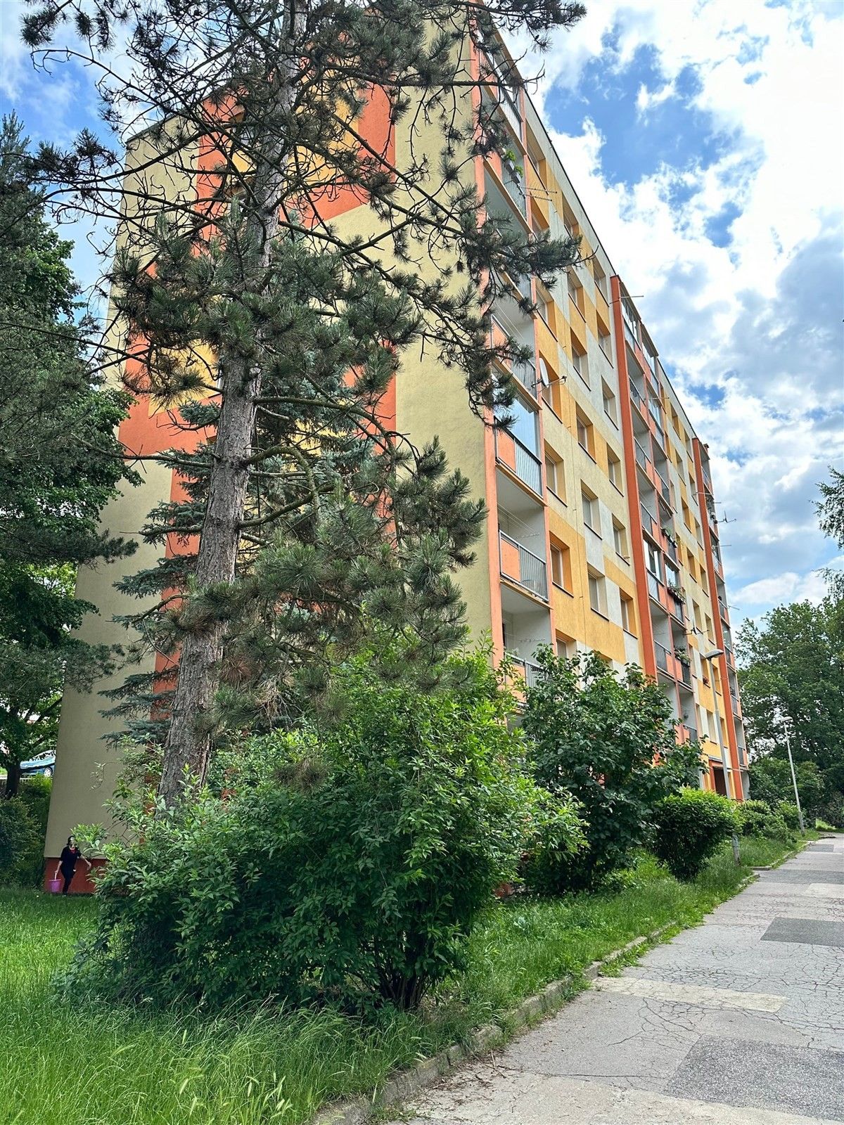 1+1, Na Pěšině, Děčín, 37 m²