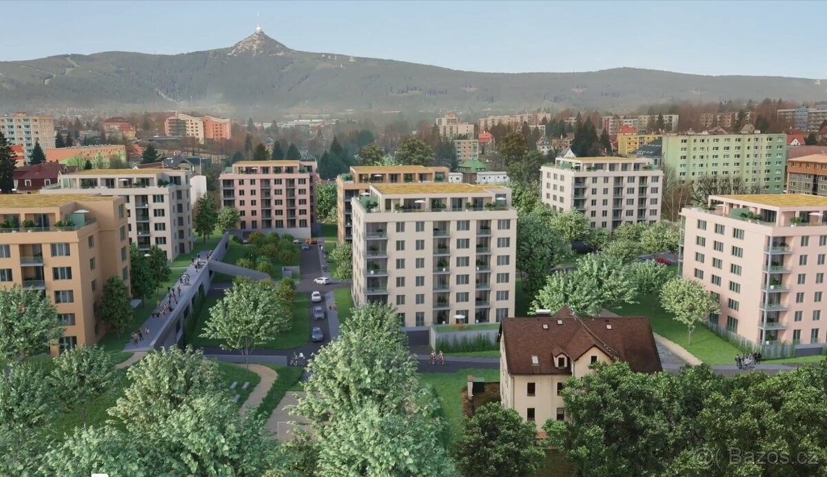 1+kk, Liberec, 460 01, 40 m²