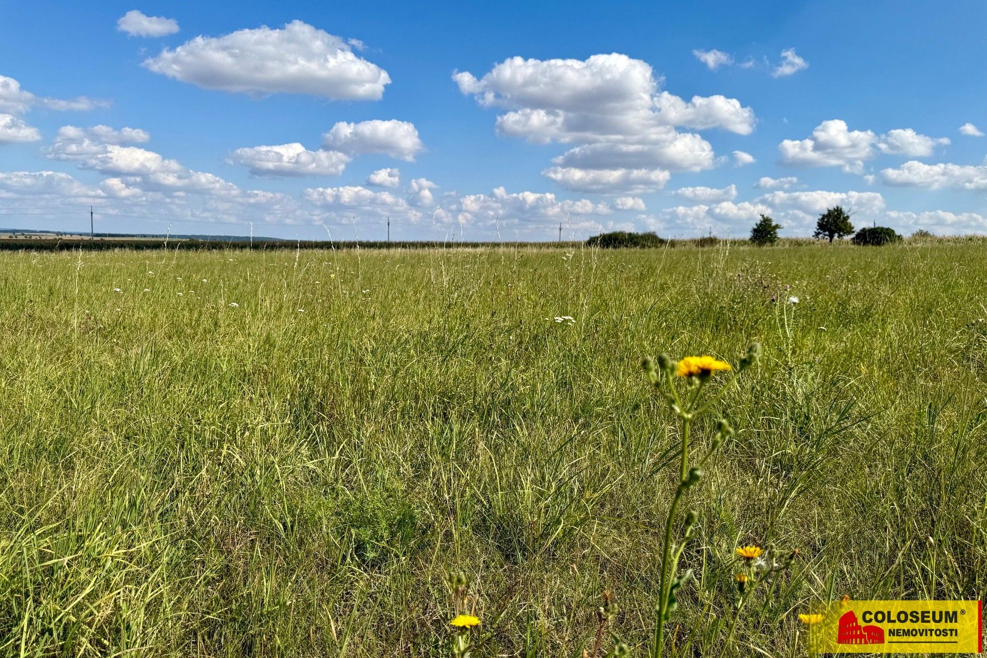 Prodej komerční pozemek - Znojmo