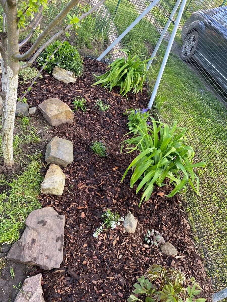 Zahrady, Čáslav, 286 01