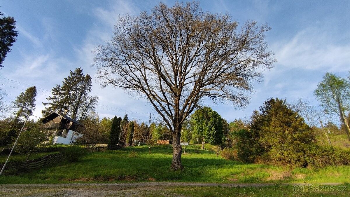 Prodej pozemek pro bydlení - Česká Kubice, 345 32, 1 380 m²