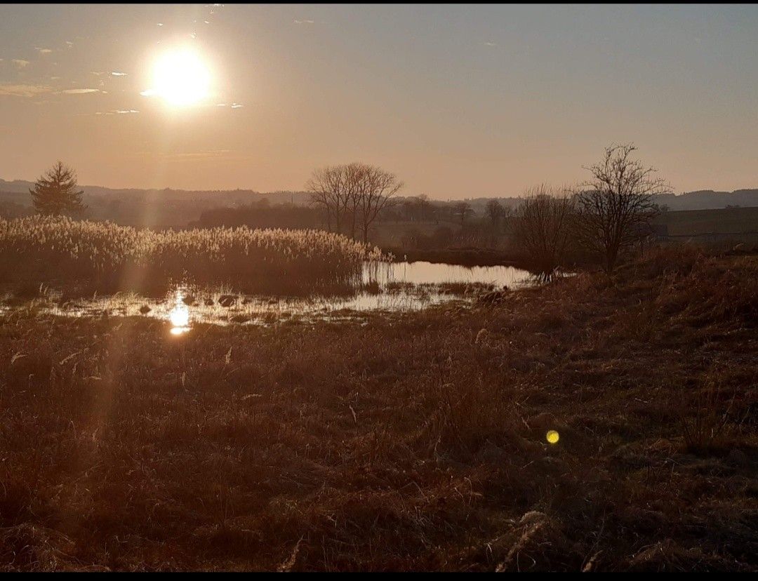 Prodej zemědělský pozemek - Hajnice, 544 66, 29 271 m²