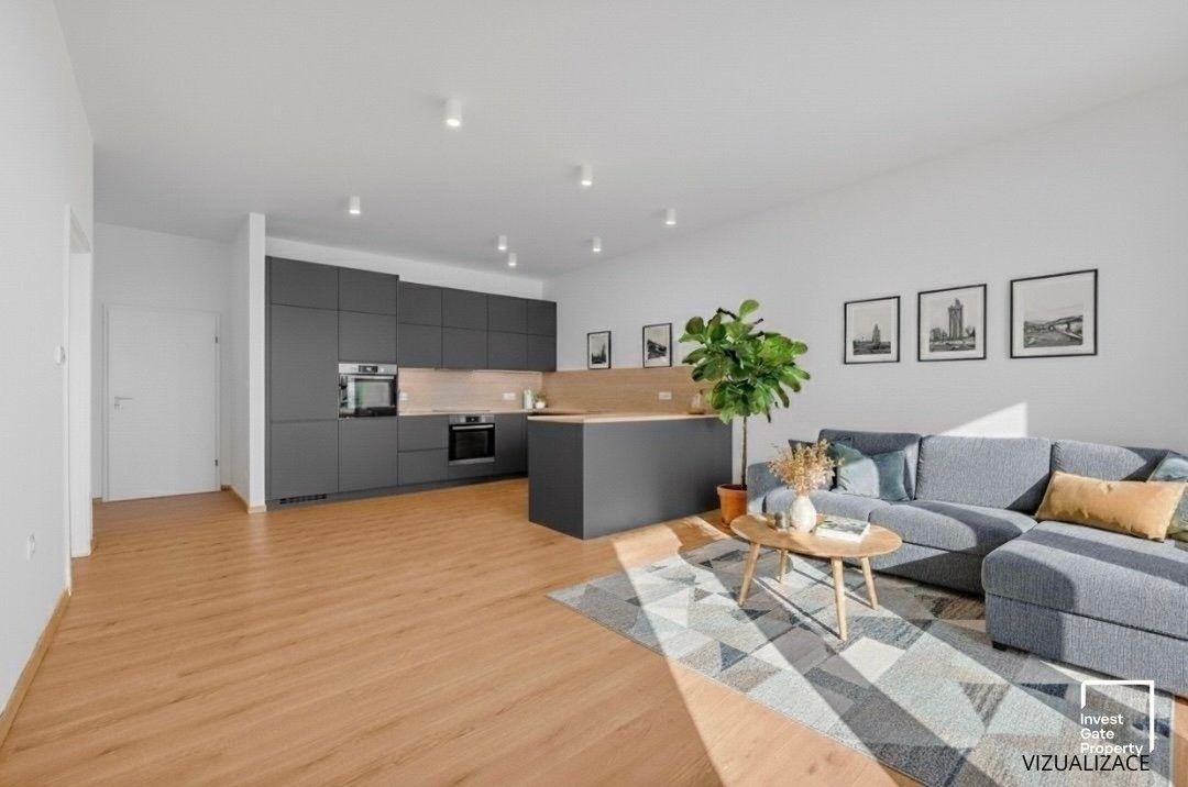 2+kk, K. Šatala, České Budějovice, 68 m²