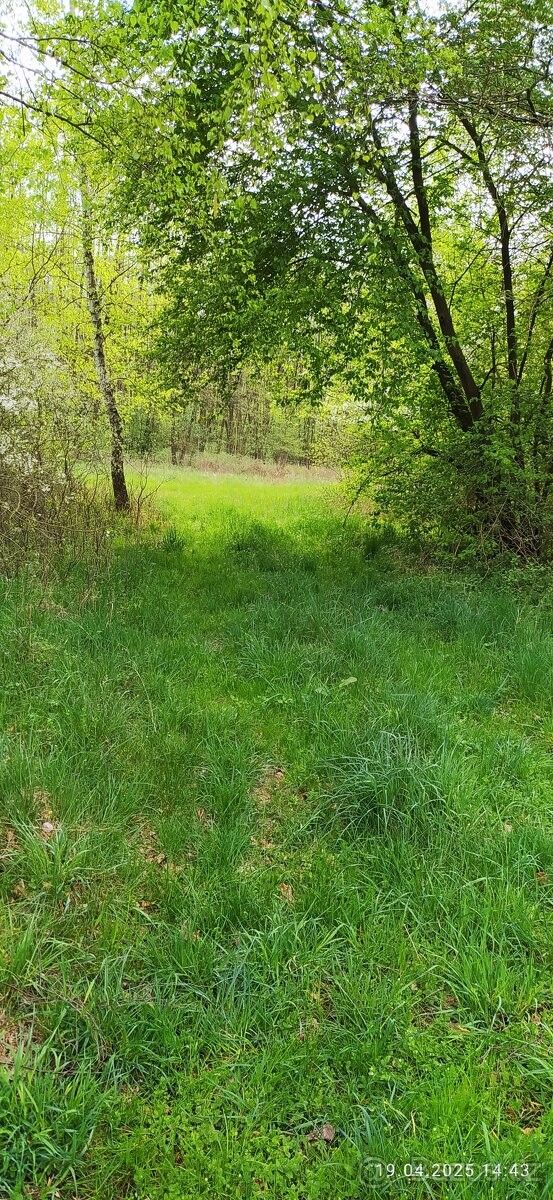 Pozemky pro bydlení, Sadská, 289 12