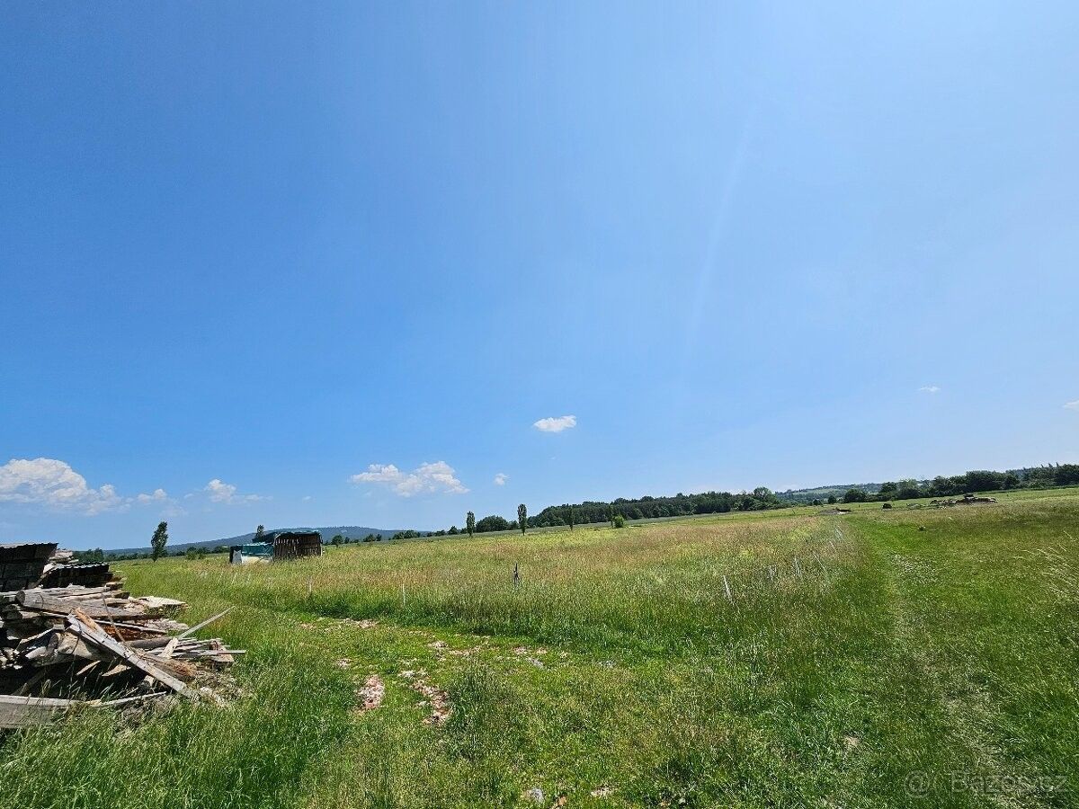 Pozemky pro bydlení, Spálené Poříčí, 335 61