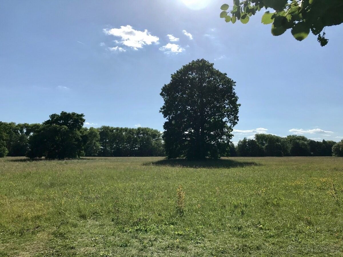 Prodej pozemek - Hradec Králové, 500 03, 21 623 m²