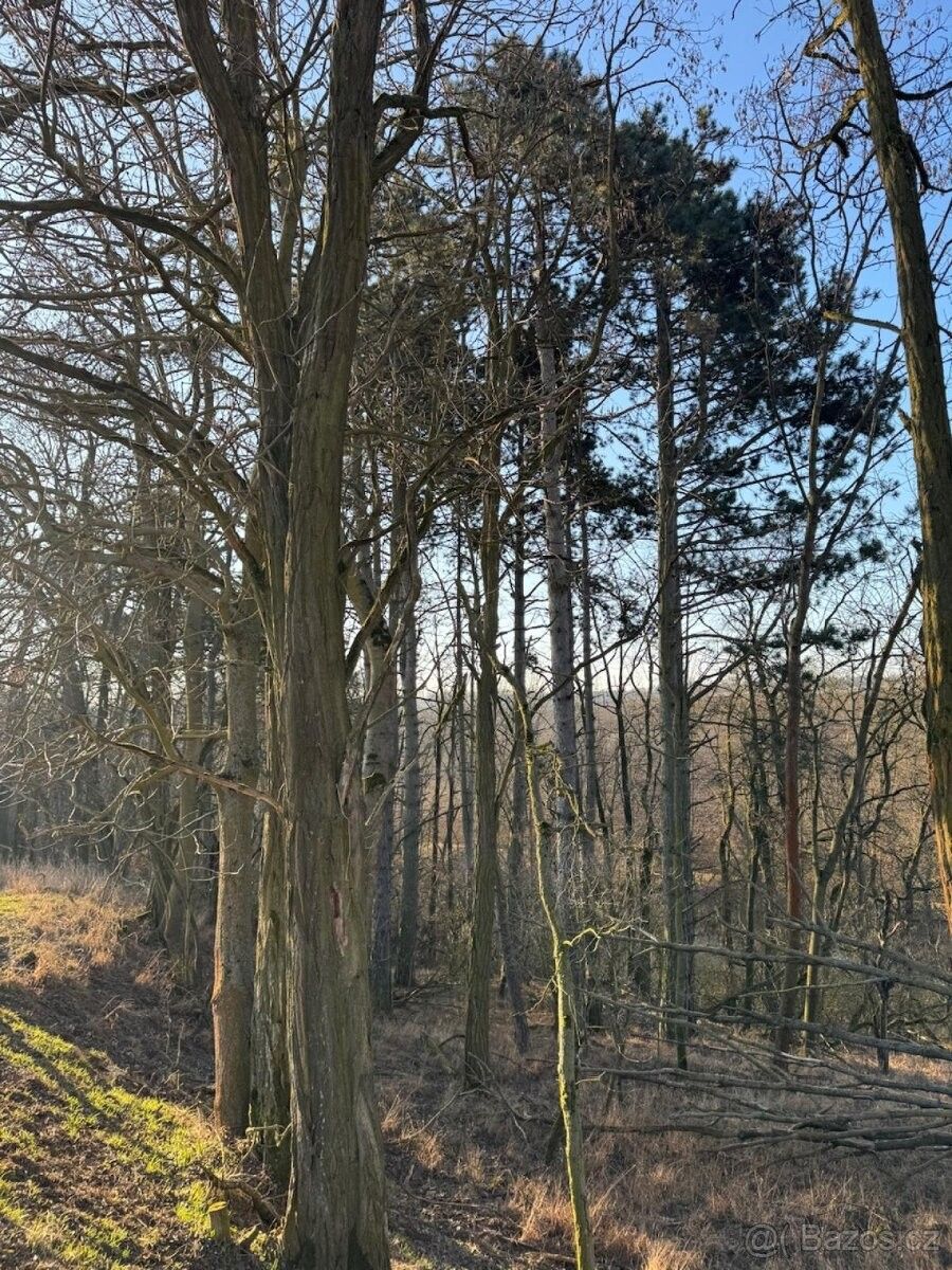 Pozemky pro bydlení, Mělnické Vtelno, 277 38