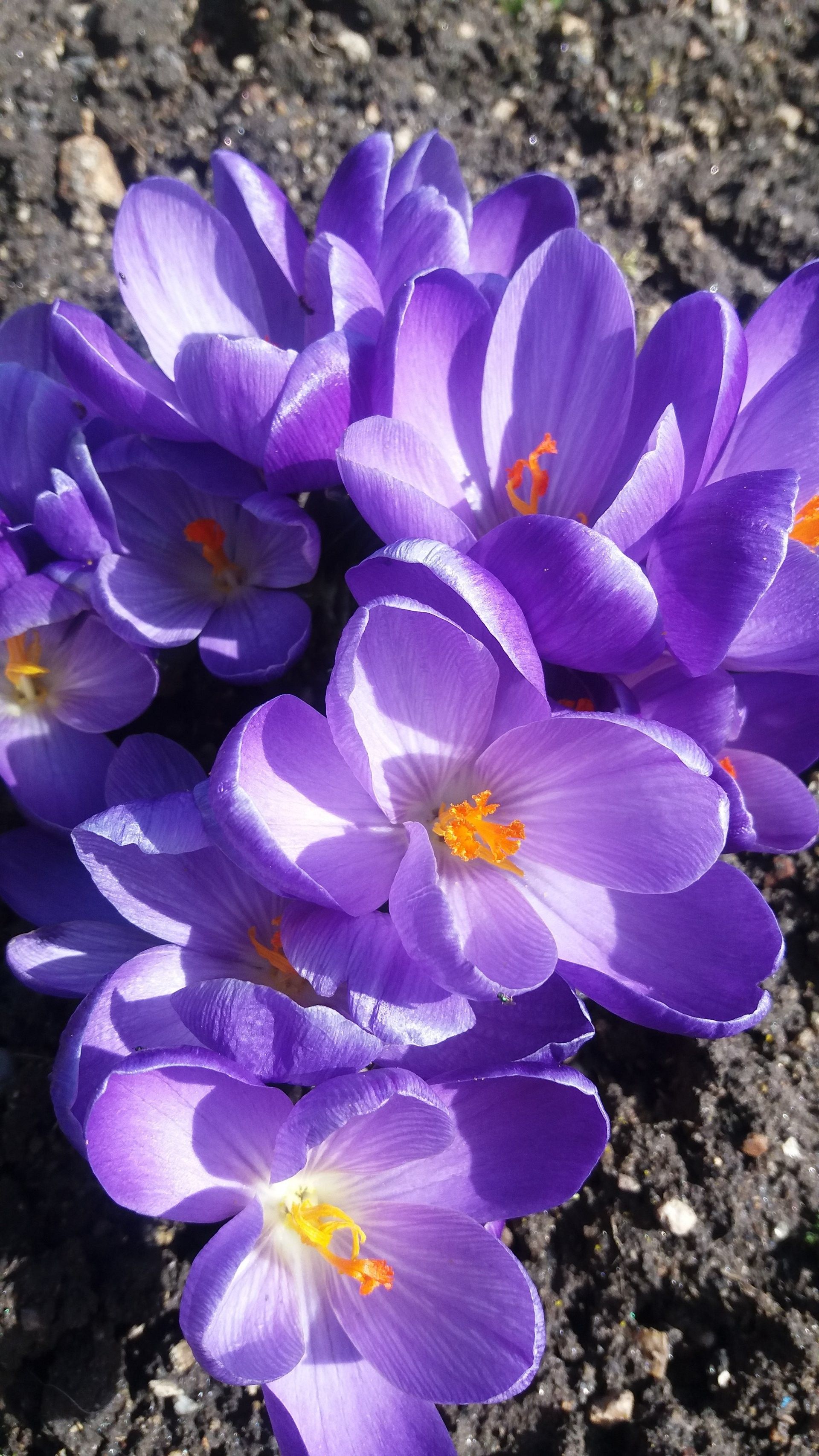 2+1, Okružní, Březová, 67 m²