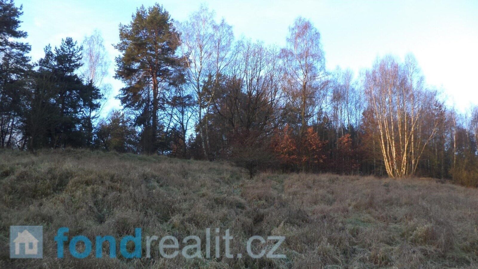 Prodej zemědělský pozemek - Blíževedly, 52 m²