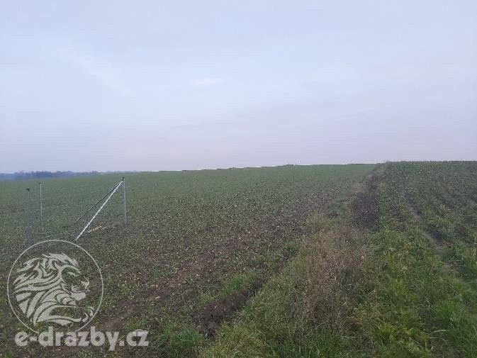 Zemědělské pozemky, Dražkovice, Pardubice, 13 619 m²