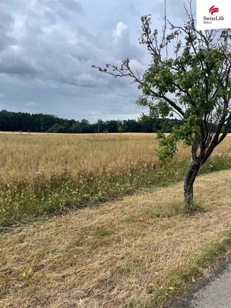 Pozemky pro bydlení, Hřibiny-Ledská