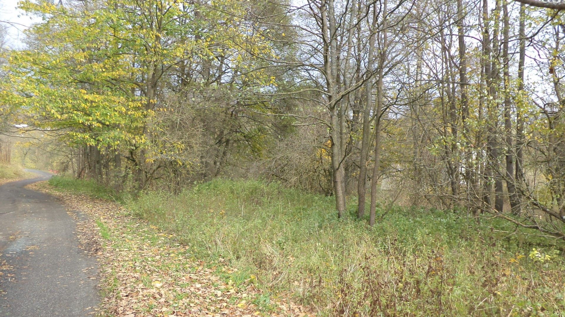 Ostatní, Aš, 1 m²