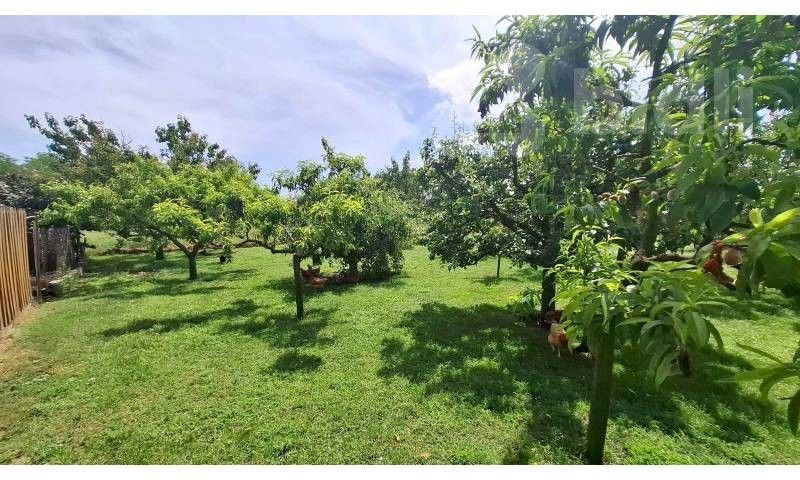 Pozemky pro bydlení, Čejkovice