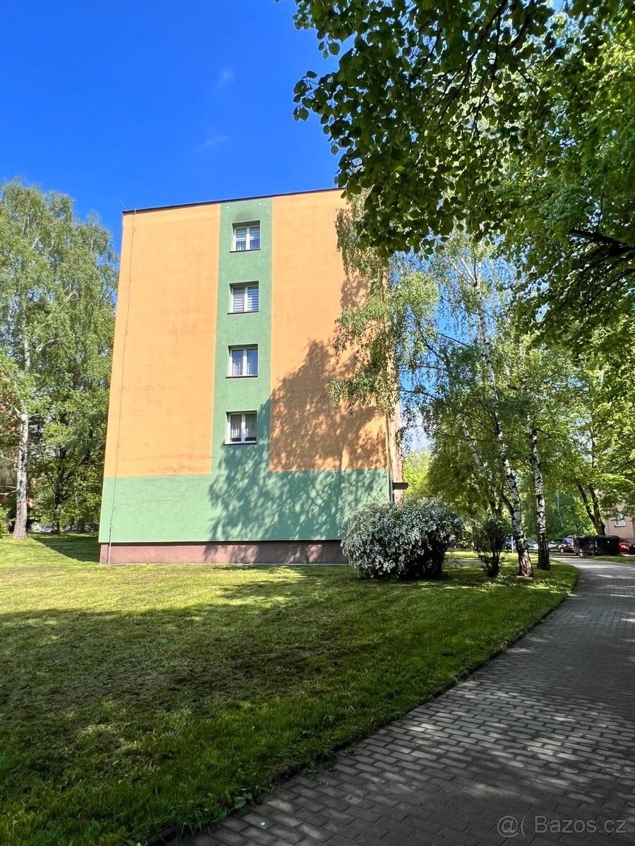 2+1, Orlová, 735 14, 2 m²