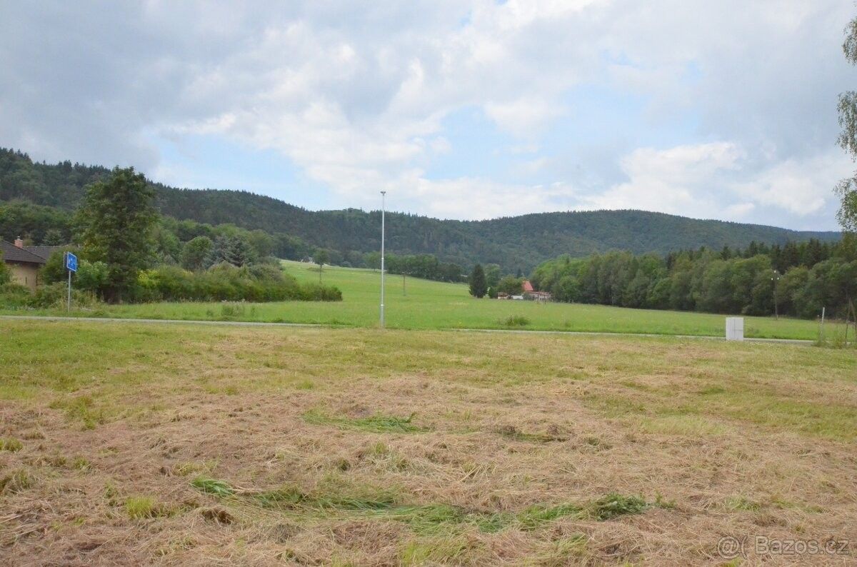 Prodej pozemek pro bydlení - Žacléř, 542 01, 2 067 m²