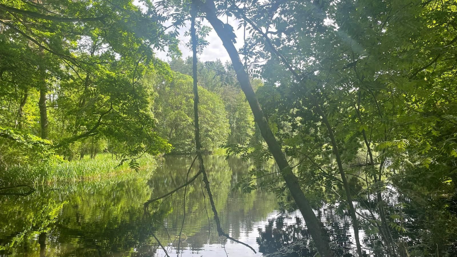 Prodej louka - Žíteč, Chlum u Třeboně, 389 696 m²