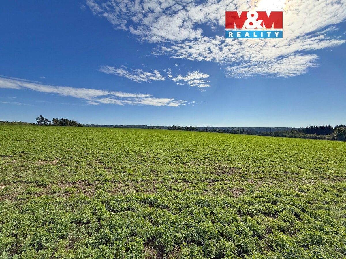 Pozemky pro bydlení, Bechyně, 391 65