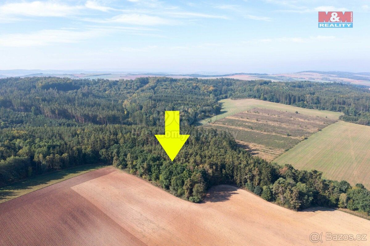 Lesy, Žatec, 438 01, 4 036 m²