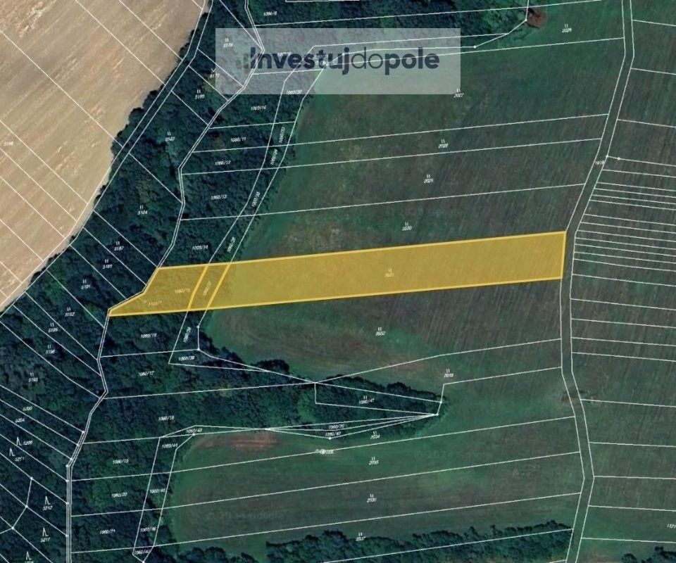 Prodej louka - Bílovice u Uherského Hradiště, 687 12, 4 978 m²