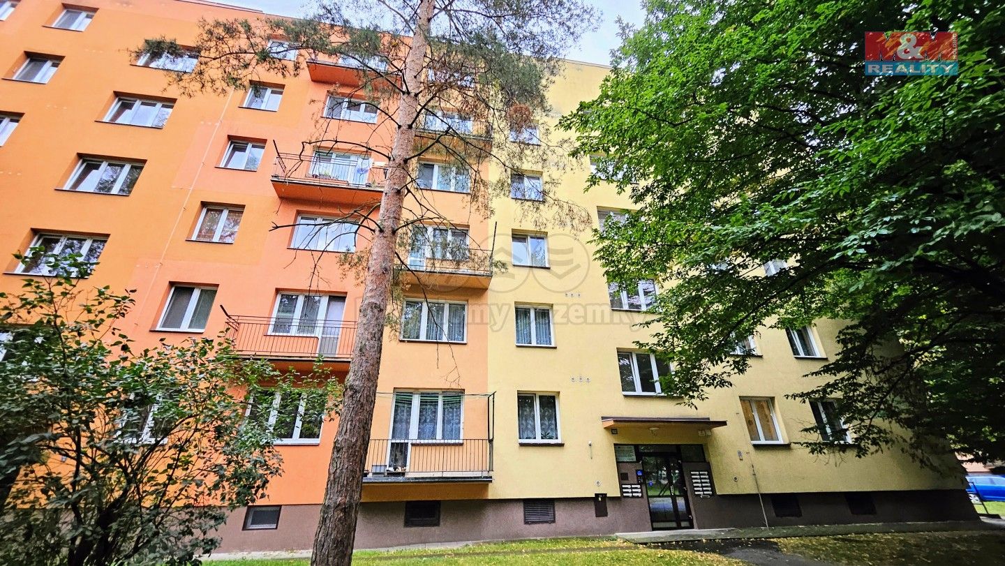 1+kk, Alžírská, Ostrava, 24 m²