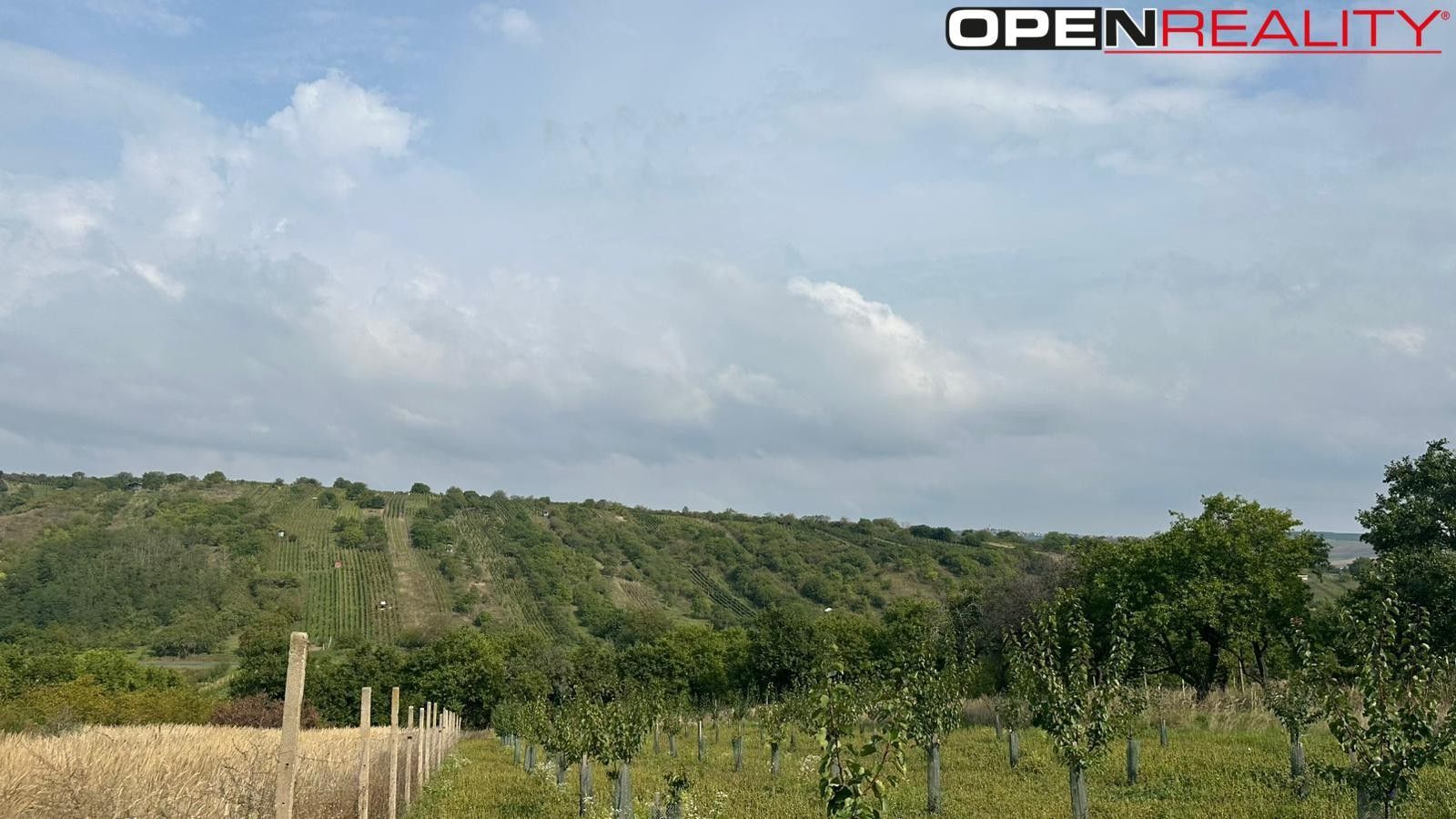 Zahrady, Němčičky, Břeclav, 358 m²