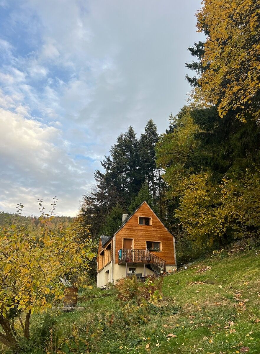 Chaty, Frýdlant nad Ostravicí, 739 11, 98 m²