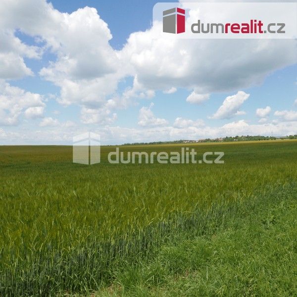 Prodej zemědělský pozemek - Horní Bousov, Dolní Bousov, 11 679 m²