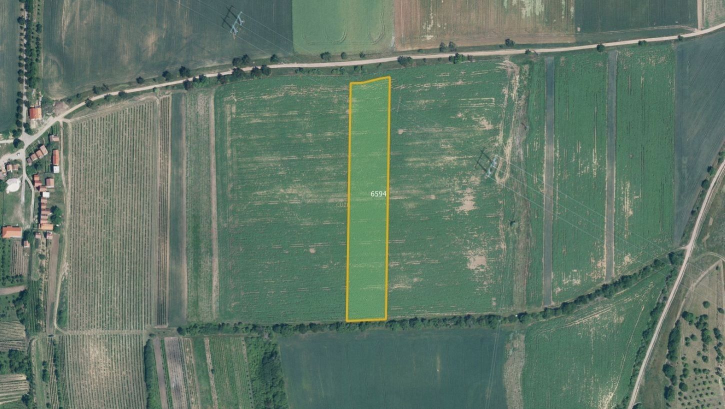 Zemědělské pozemky, Milotice