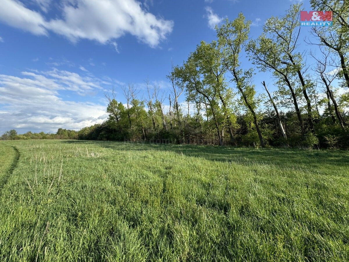 Zemědělské pozemky, České Budějovice, 370 01, 10 254 m²