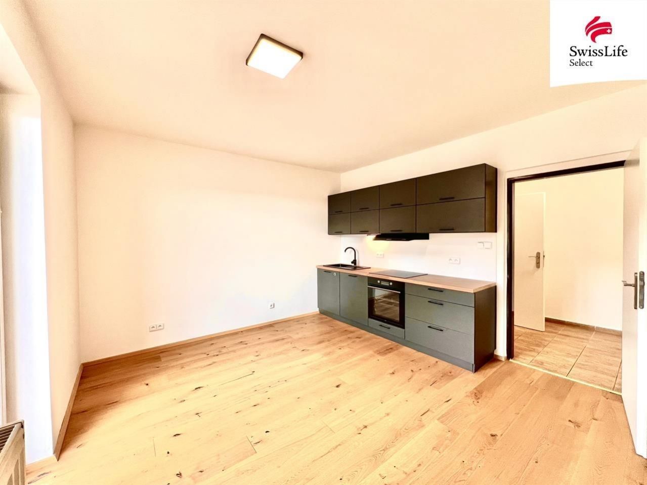 1+kk, Wenzigova, Plzeň, 24 m²