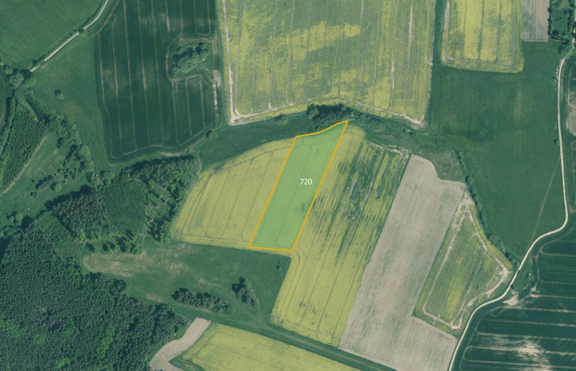 Zemědělské pozemky, Rakov, Bernartice