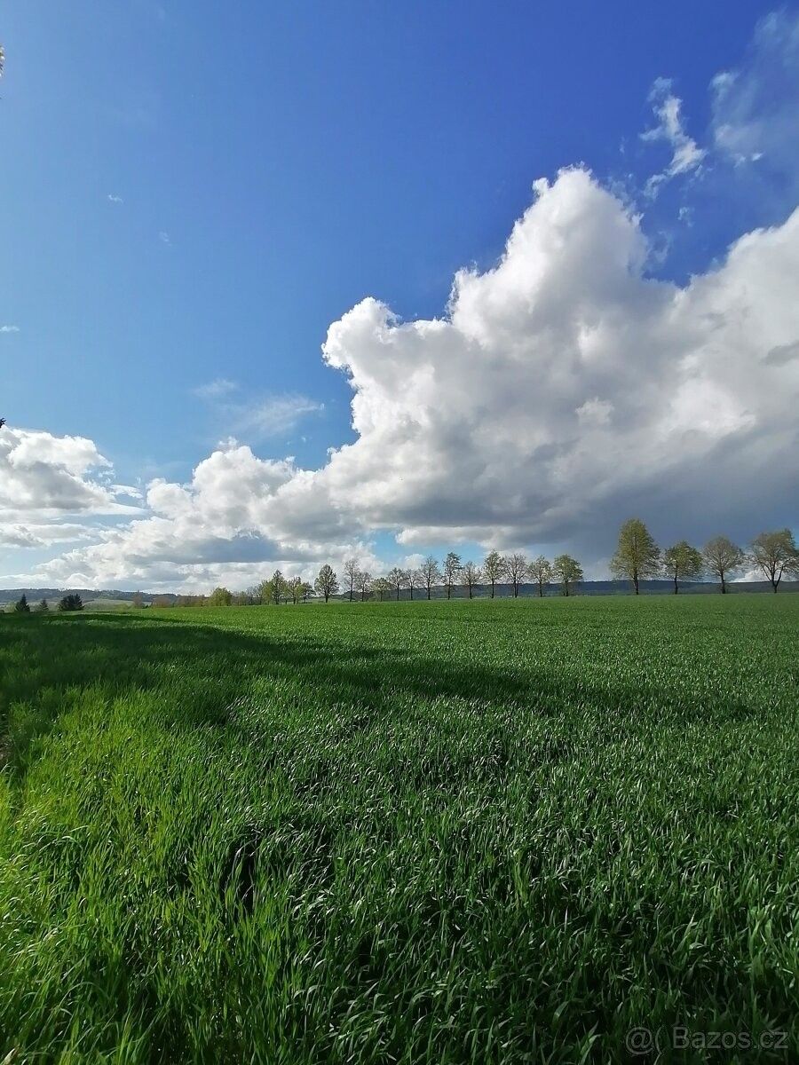 Ostatní, Rožmitál pod Třemšínem, 262 42, 1 500 m²