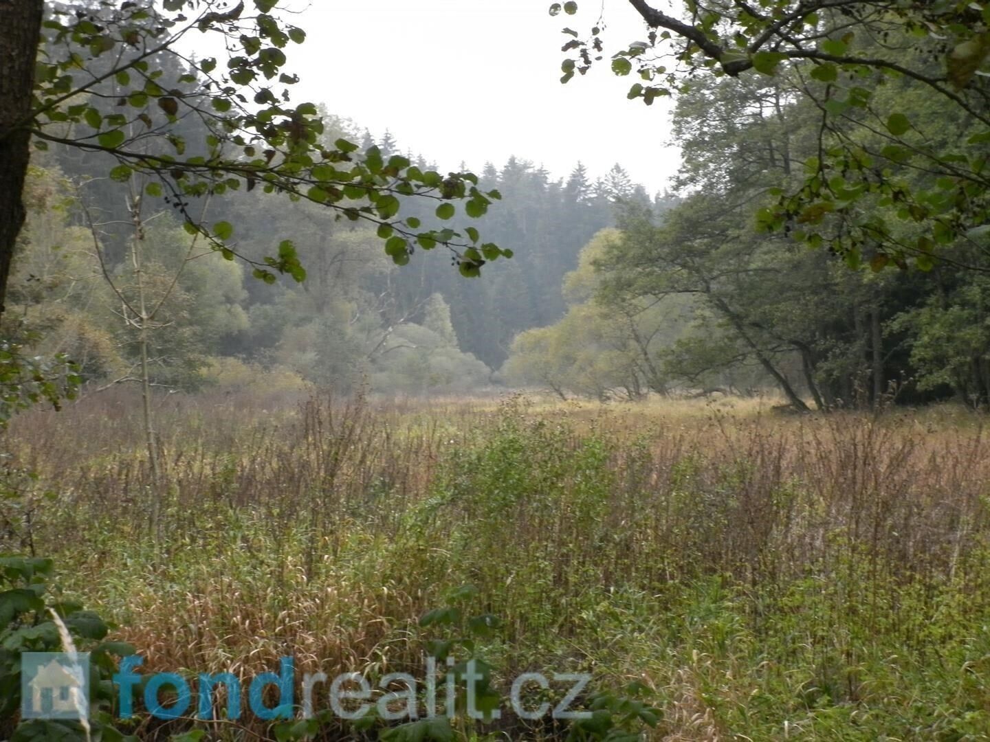 Zemědělské pozemky, Kladruby, 42 m²