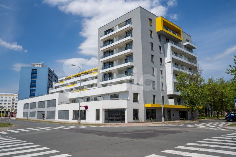 Pronájem byt 2+kk - Kubelíkova, Hradec Králové, 74 m²