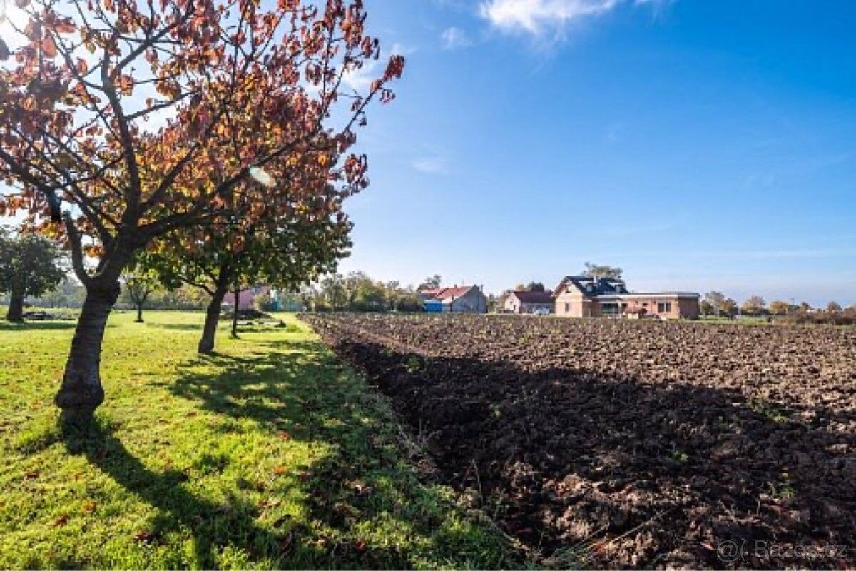 Pronájem zemědělský pozemek - Košetice, 394 22, 10 000 m²