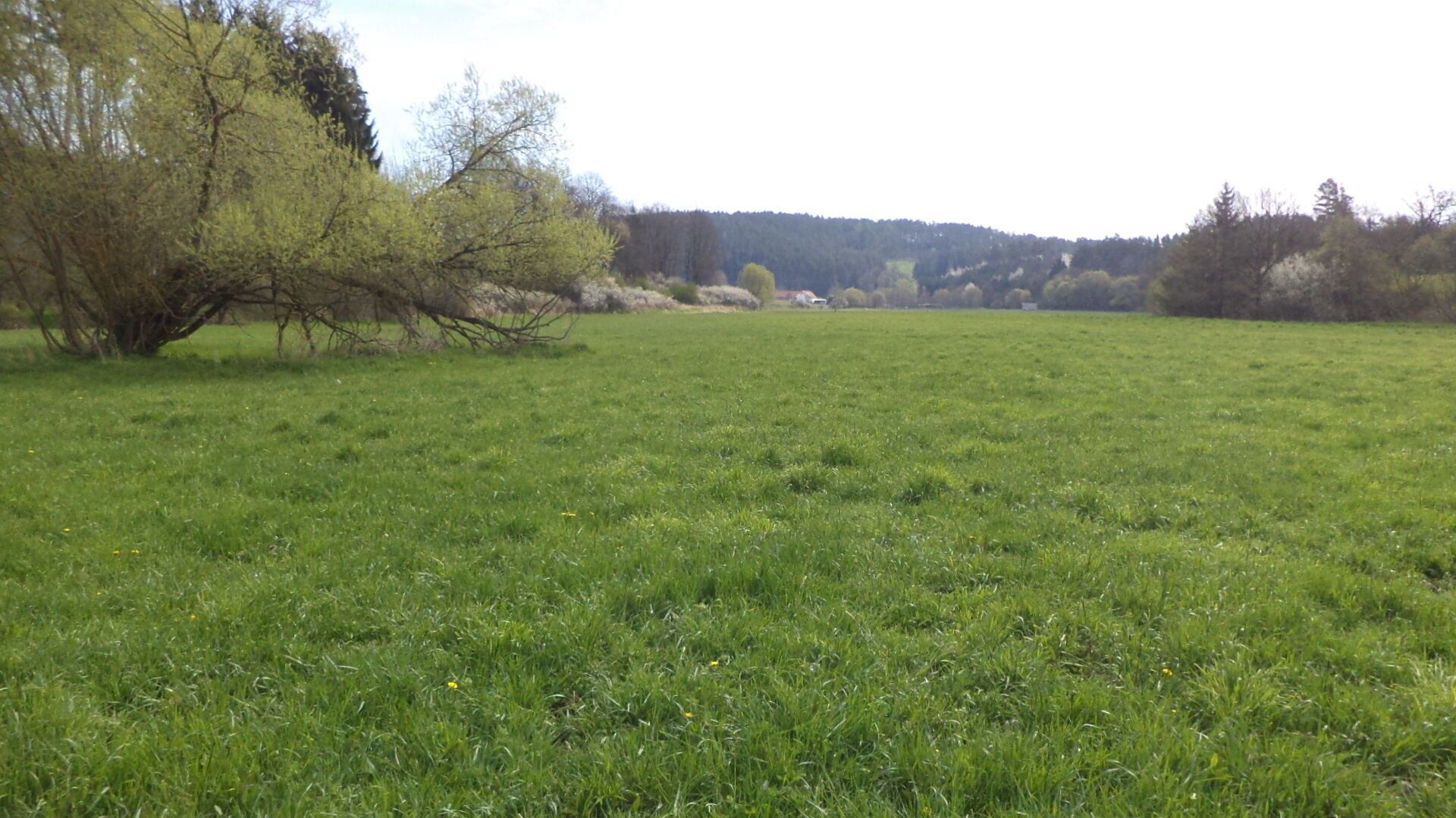 Prodej pozemek - Dančovice, Dešná, 4 m²